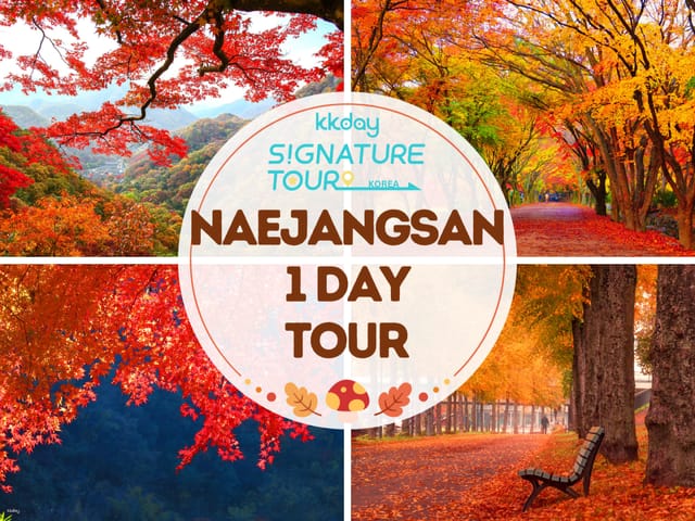 kkday-signature-tour-early-bird-deal-autumn-foilage-naejangsan-1-day-trip-from-seoul-south-korea_1